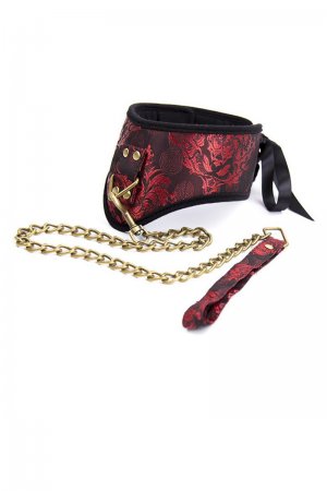 Golden Chained Coller and Leash for Sex