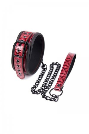 Black Chained Coller and Leash for Beginner