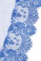 Blue Transparent Lace Gown - Plus Size