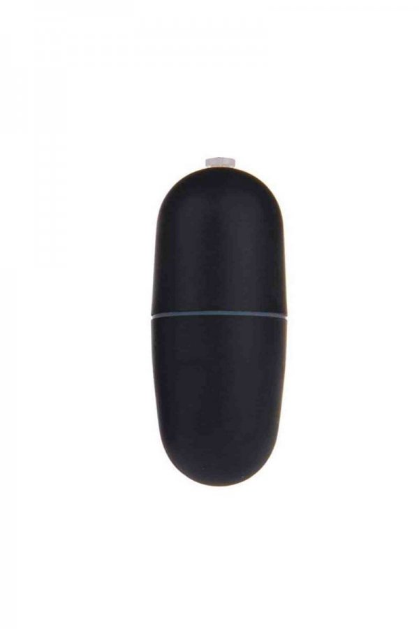 Waterproof Remote Control Vibrating Egg - Black