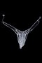 Rhinestone Jewellery Thong For Women - Silver