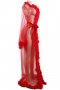 Red Hot Transparent Robe