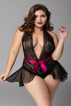 Sexy Black Lace Teddy Dress - Plus Size