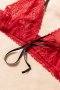 Valentine Red Lace Bra Set with Garter Belts