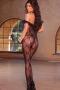 Bow Tie Lace Bodystocking 