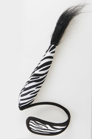 Zebra Print C String For Women