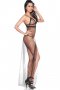 Exquisite Black Sheer Mesh Gown
