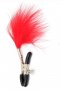 Nipple Clamps with Red Feather