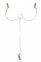 Nipple Clamps with chain