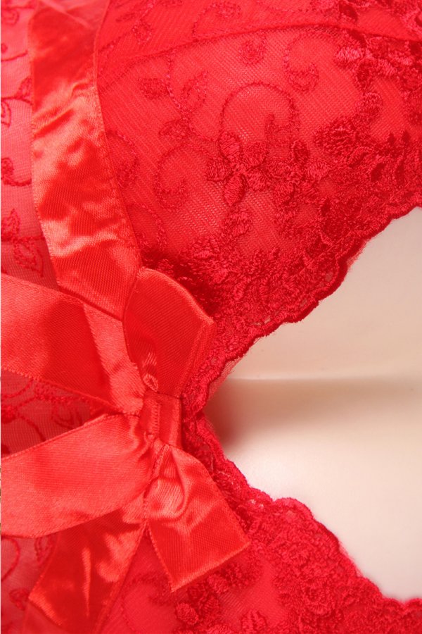 Draping Mesh and Lace Babydoll Set