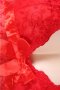 Draping Mesh and Lace Babydoll Set