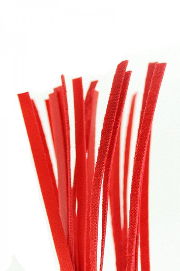 Red Cute Little Whip